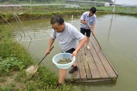 两亩泥鳅养殖利润分析，能否赚得1万块？