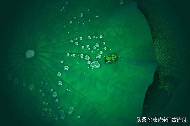 付书林