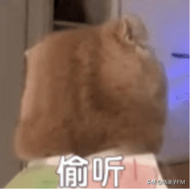 年轻人热衷传统年俗,年味渐浓!