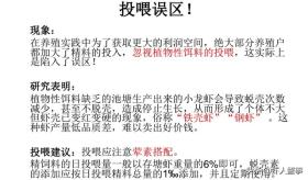 小龙虾养殖投喂秘籍,7成养殖户未知,掌握即产量翻番!