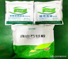 猪场10种常见疾病症状及防治用药指南