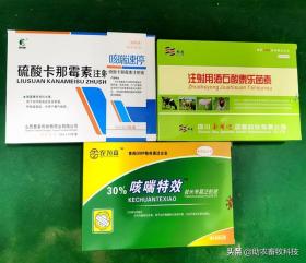 猪场10种常见疾病症状及防治用药指南