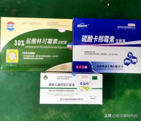 猪场10种常见疾病症状及防治用药指南