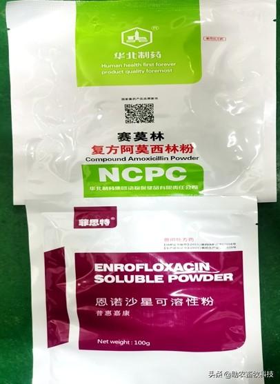 猪场10种常见疾病症状及防治用药指南