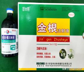猪场10种常见疾病症状及防治用药指南