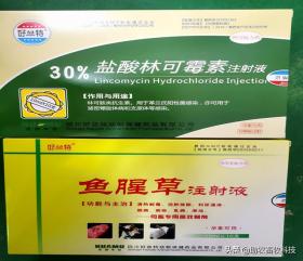 猪场10种常见疾病症状及防治用药指南