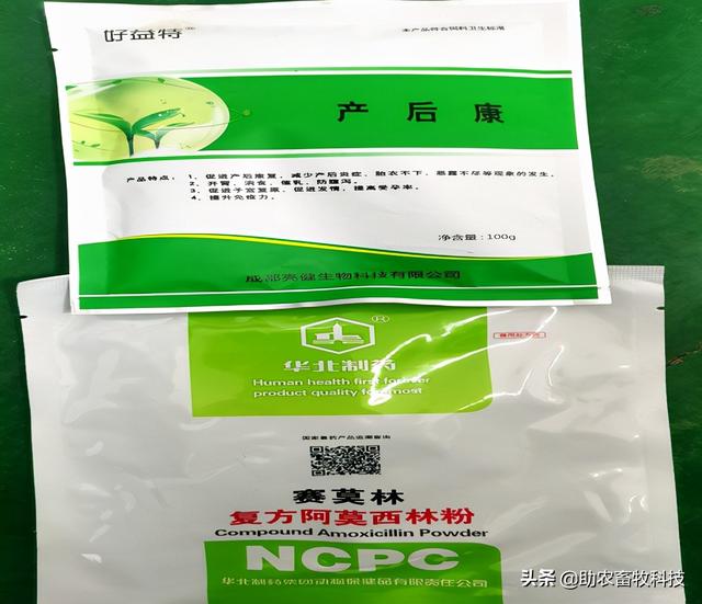 猪场10种常见疾病症状及防治用药指南